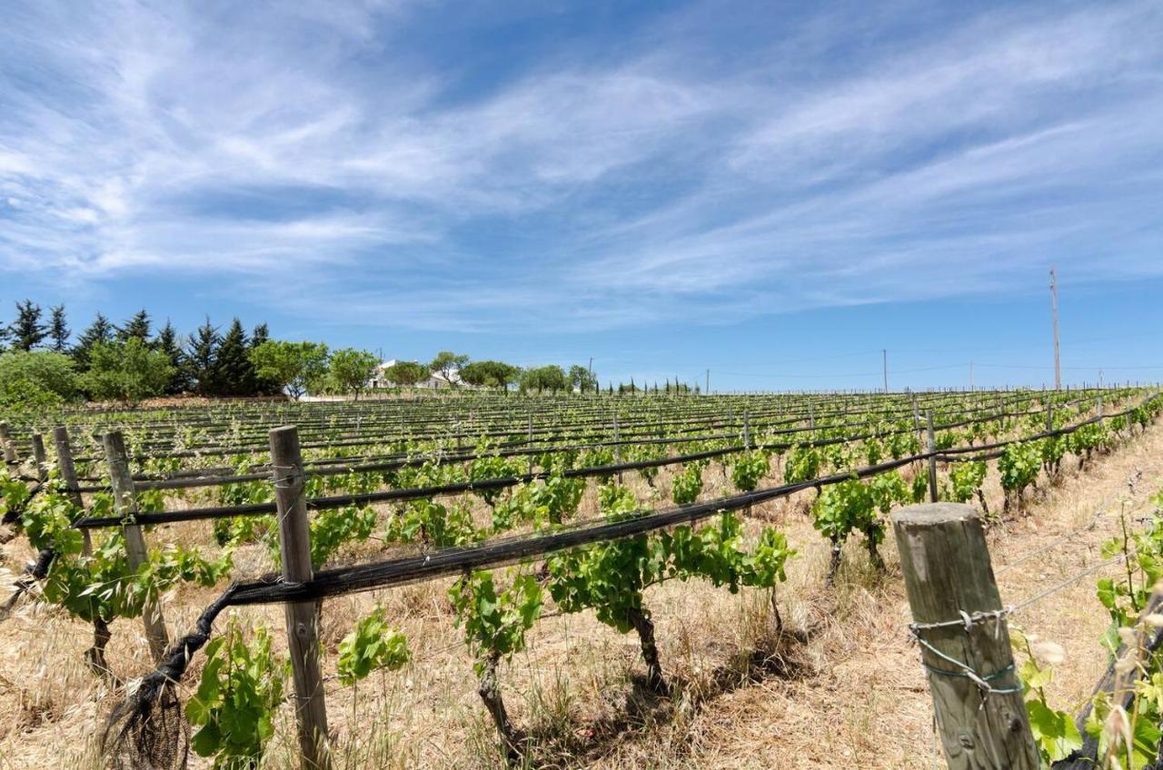 Casas Na Vinha - Monte Da Casteleja, Wine Estate - Eco Turismo Rural Lagos Exterior photo